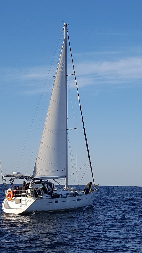 ac66376d7417665f77a6e574378baf48_1571901728_1167.jpg